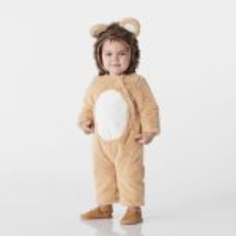 Pottery Barn Kids Lion Costume (12-24 Months)